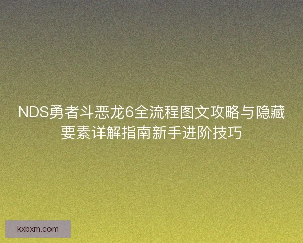 NDS勇者斗恶龙6全流程图文攻略与隐藏要素详解指南新手进阶技巧